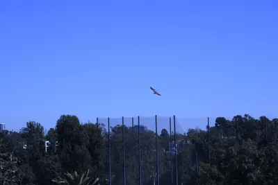 DSC_0777 (Large).JPG